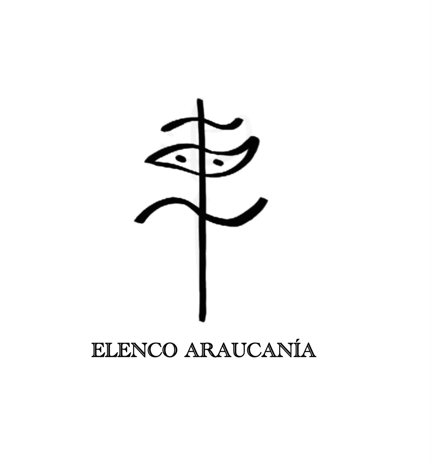 Elenco ARAUCANÍA